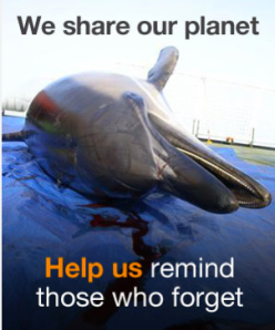 Greenpeace Kumi Naidoo homepage We Share Our Planet Help us remind those who forget