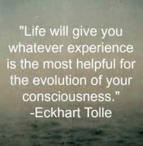 Eckhart Tolle, Life, experience necessary