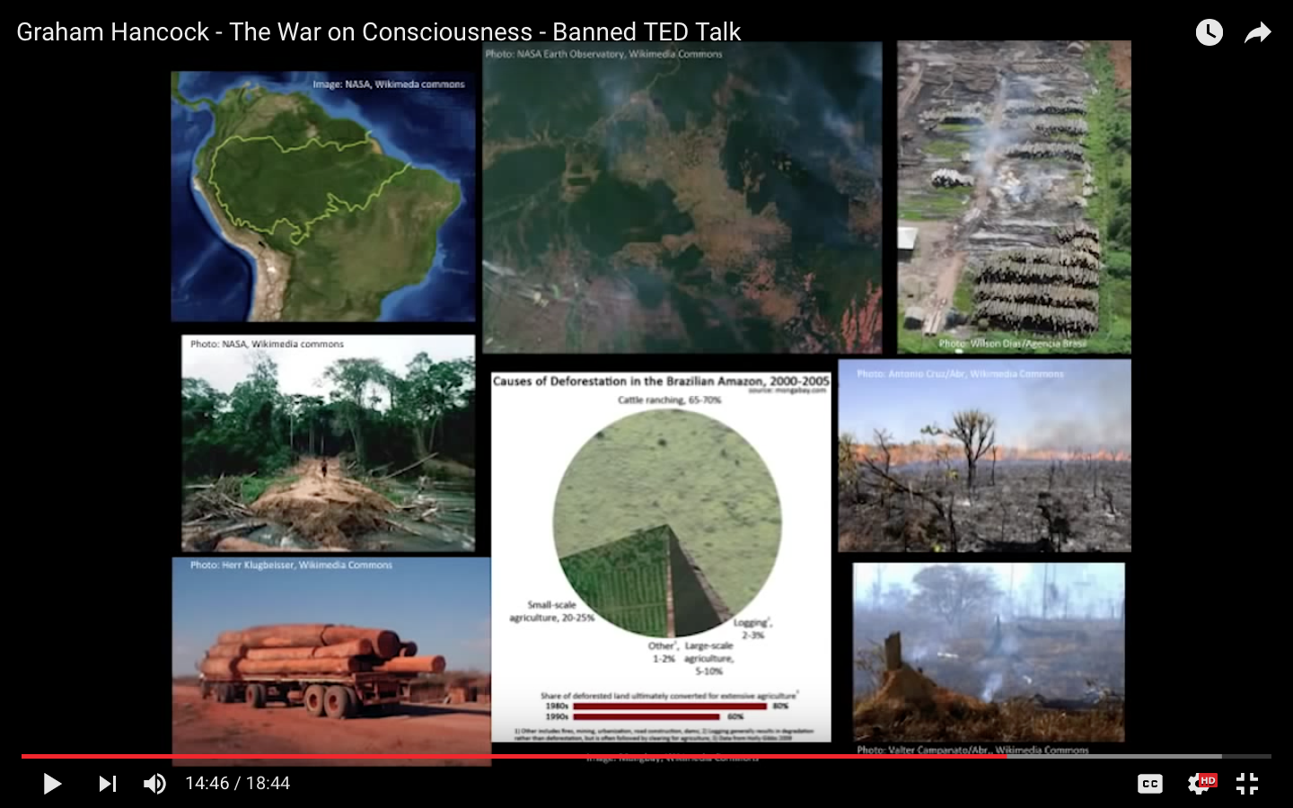 Graham Hancock - The War on Consciousness Amazon rainforest - the lungs of the earth - cleared to plant industrial soybean to feed cattle to make hamburgers.