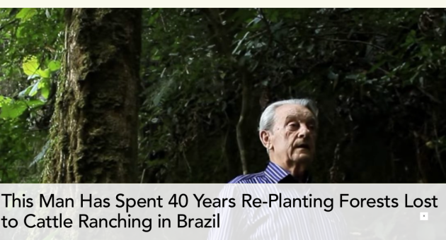 Antonio Vicente, reforested, deforested, cattle ranching, Brazil
