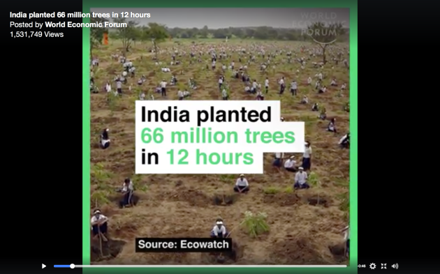 India planted 66 Million trees in 12 hours
