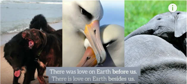 There is Love on Earth Besides Humans