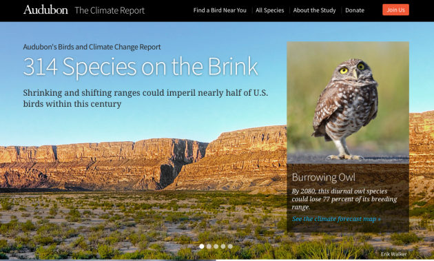 Audubon Birds and Climate Change Report