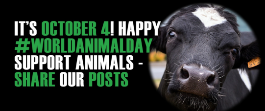 Happy World Animal Day