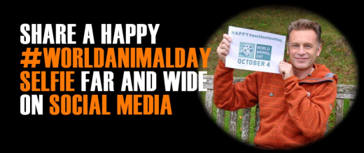 Share a Happy World Animal Day