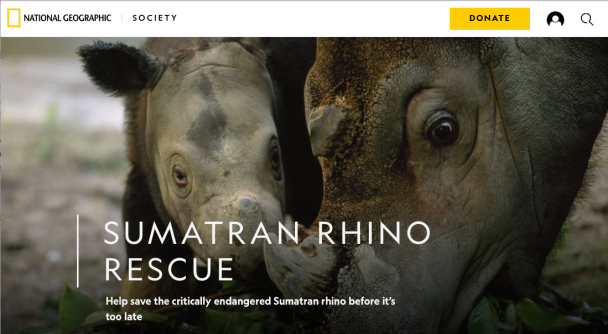 Sumatran Rhino Rescue, National Geographic