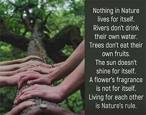 Pantheism, nothing in nature lives for itself, systemic interdependence, harmony